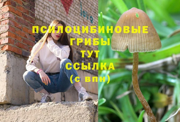 метадон Абаза
