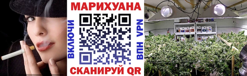 Каннабис SATIVA & INDICA Алейск